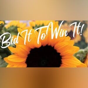 BID IT TO WIN IT! KATE SPADE BUNDLE GRAND PRIZE! ROUND 2!!!